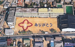 人文字事例